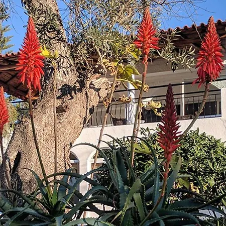 Vivenda Balou Bed and breakfast